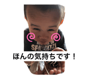 345185446