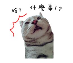 34518982