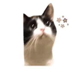 345282583