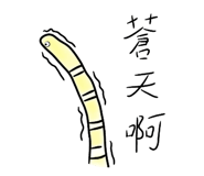 345388832