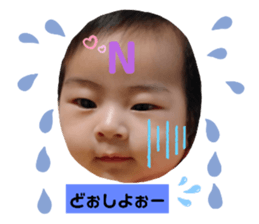 345450647