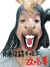 34545305