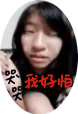 34545307