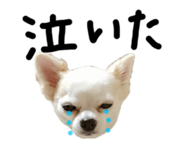 345489220