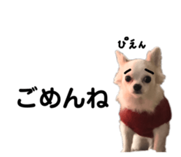 345489221