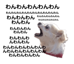 345489237
