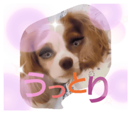 345525262