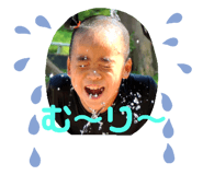 345542768