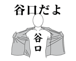 34554800