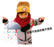 34555277
