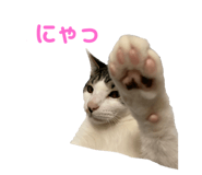 345556990