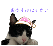 345556992