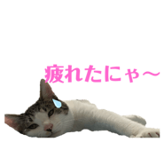 345556994