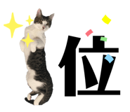 345556996