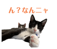 345556997