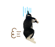 345556999