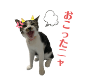345557000