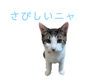 345557001