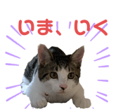 345557002
