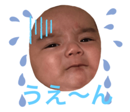 345568072