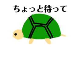 345577268