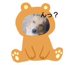 345581230