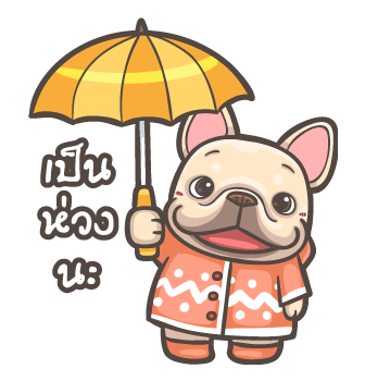 พิกุ - เฟรนช์ บูลด็อก สติกเกอร์เอฟเฟกต์ รูปที่ 10