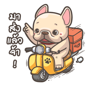 พิกุ - เฟรนช์ บูลด็อก สติกเกอร์เอฟเฟกต์ รูปที่ 20