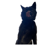 345586515