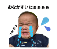 345589334