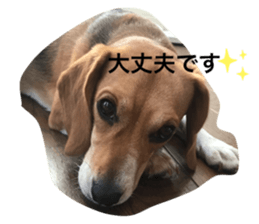 345591199