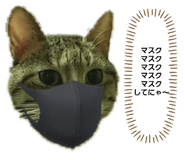 345592152