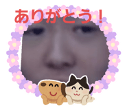 345592428