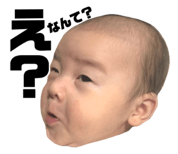 345596637