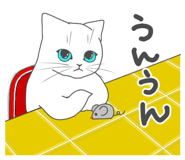 345626381