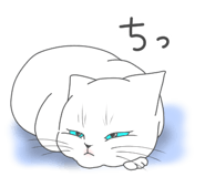 345626387