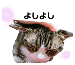 345653778