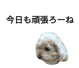 345683258