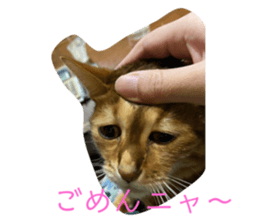345687877