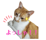 345688871