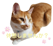 345688873
