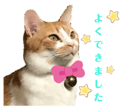 345688875