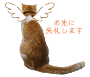 345688876