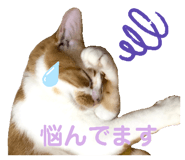 345688877