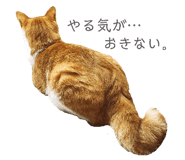 345688912