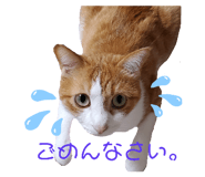 345688914