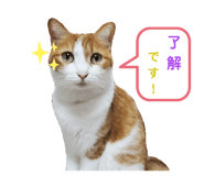 345688916