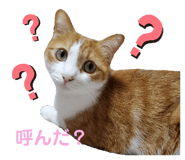 345688917