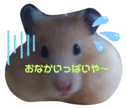 345704084