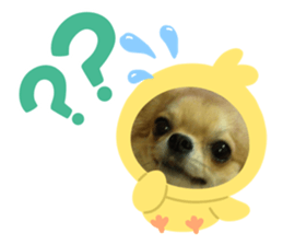 345878088